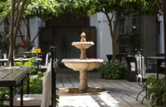 リヤド クレメンタイン