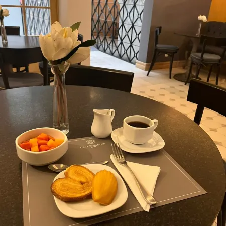Hotel Plaza Revolución