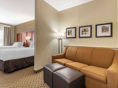 Comfort Suites Medical Center Near Six Flags