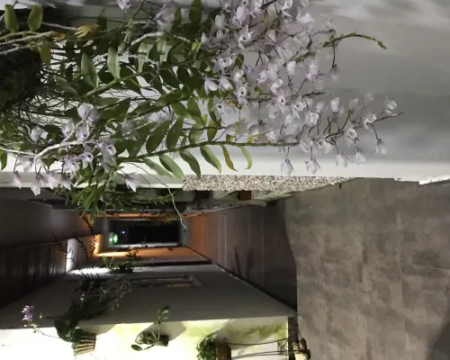 Sunny A Hotel من الخارج Photos