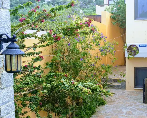 Paradise Villa Hotels in Istro