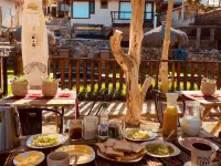 Hotel Puclaro Hotels in Vicuna