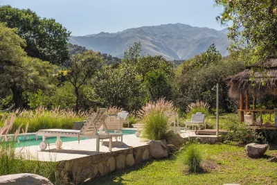 Las Dalias Hotels in 