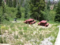 Buffalo Ridge 2 Bed Loft