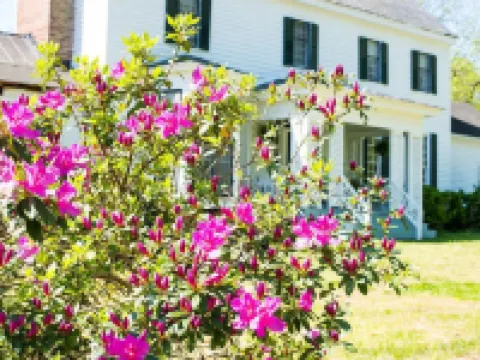 Oak Grove Bed and Breakfast Hotels in Halifax County
