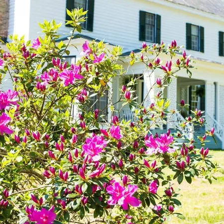 Oak Grove Bed and Breakfast