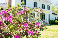 오크 그로브 B&B