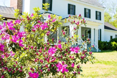 Oak Grove Bed and Breakfast