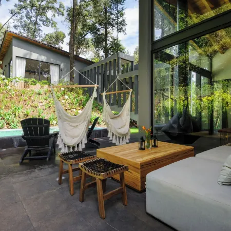 Casa Helechos Amazing Architechture