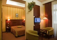 Hotel Wawel Hotels in Krakova