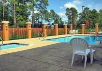 Comfort Suites Old Town Spring - Family
