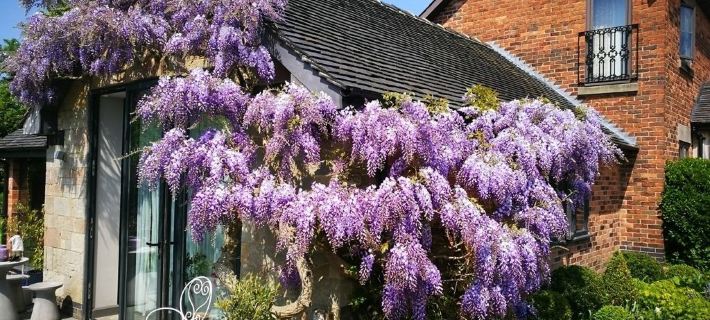 Hayeswood Lodge Luxury Accommodation Hotels in Derby
