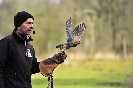 Kalkberg Ferienwohnungen