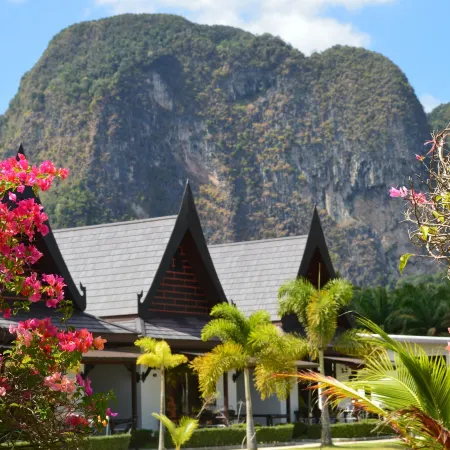 Paradis Vert