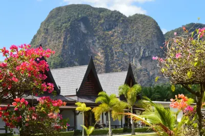 Paradis Vert