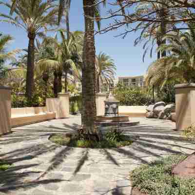 Palm Oasis Maspalomas Hotel Exterior