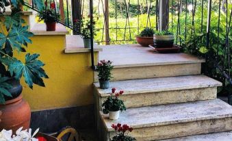 Hotel Ai Tufi