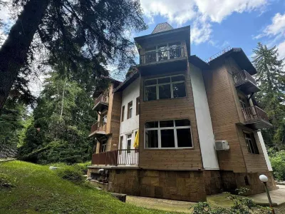 The Forest Villa Borovets1 Hotel di 