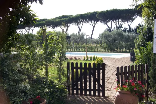 La Pulledraia Del Podere Montegrappa