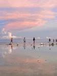 In Dai Aquasports and Beach Resort - Ocean View