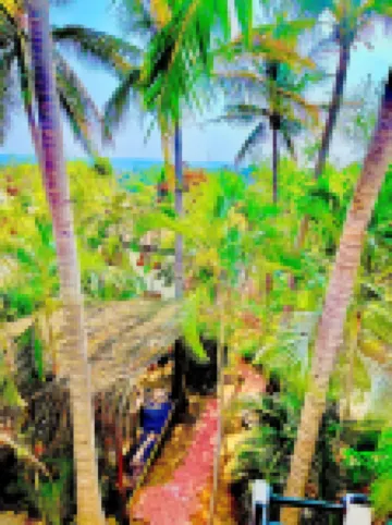 El Eden Escondido Hotels in Brisas de Zicatela