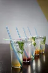 Hotel Slavia - Bars