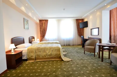 Platinum Hotel Отели в г. Кишинев