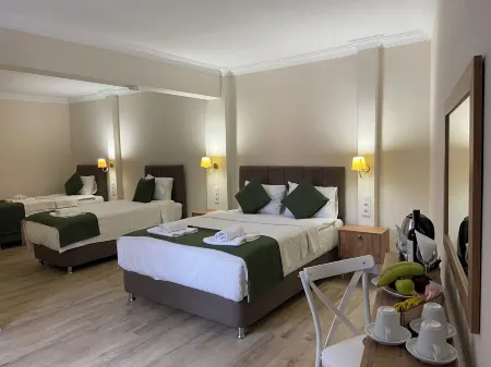 PRUVA INN HOTEL Отели рядом с достопримечательностью «Ворота Адриана»