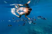 Hotel Americas San Andres Islas Colombia Hotels in San Andres