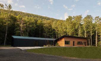 Cold Brook Bed and Breakfast