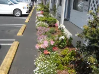 Super 8 by Wyndham Florence or - parking