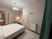 Shelter Affittacamere