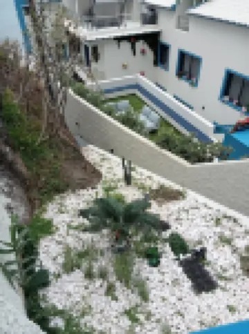 Mediterrâneo Madeira Hotels in 