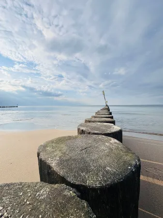 Baltic Forest Отели в г. Колобжег