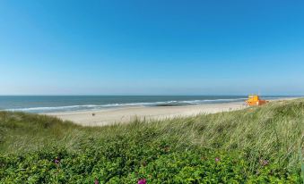 Apartment in Netherlands Near the Beach