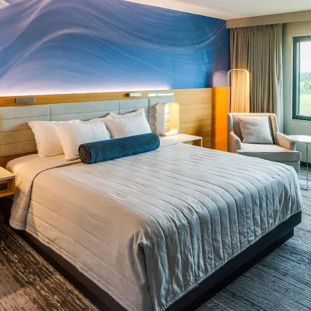 Treasure Island Resort & Casino Отели в г. Ред-Уинг