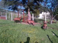 Independent cottage in a small village in the Morvan Regional Park