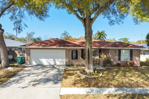 Heated pool. 3-bedroom house in Palm Harbor