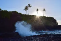 Oceanview Kalapaki Beach Healthy / Non-toxic 2-bedroom condo with WiFi, AC