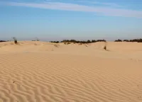 Chalet Near Drunense Dunes