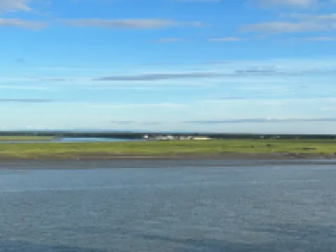 1.5 Miles from the Mouth of the Kenai River.  in the Heart of Kenai!