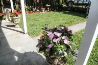 Cozy Hideaway in Jacksonville