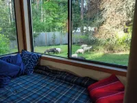 Spacious lakefront cottage, Salt Spring Island. Great sunsets, central location