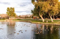 Cute, Clean & Comfortable in the Best Community!