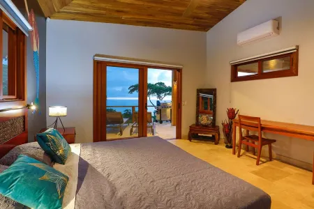 Vista Sirena: Expansive Ocean View 4 bedroom / 4.5 bath home above Dominical
