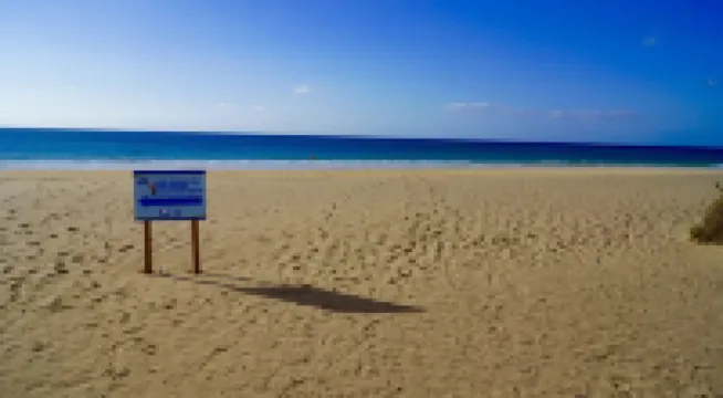 2 room apartment, 50 meter from the beach, common pool