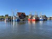 Freshly renovated and quiet vacation apartment on the ground floor in Burhave