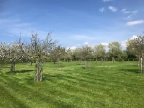 Luxus Ferienhaus mit Airco Hotels in Oostkapelle
