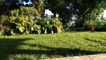 The Caribbean Escale Trois-Rivières