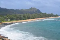 Stunning Oceanfront Views, 2+bedrms, Beautifully Renovated Condo In Poipu, Kauai